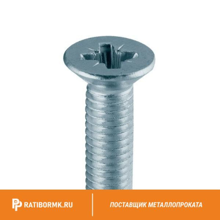 Винт нержавеющий М10х70 мм PH4 А4 DIN 965