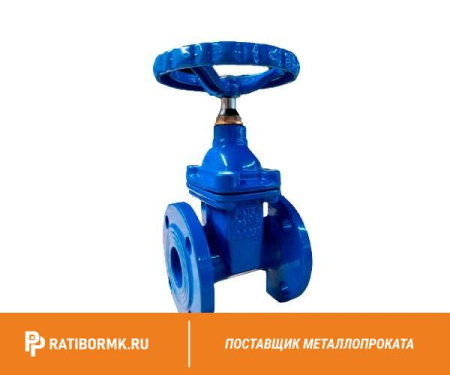 Задвижка чугунная 30Ч39Р с обрезиненным клином (107-4970)